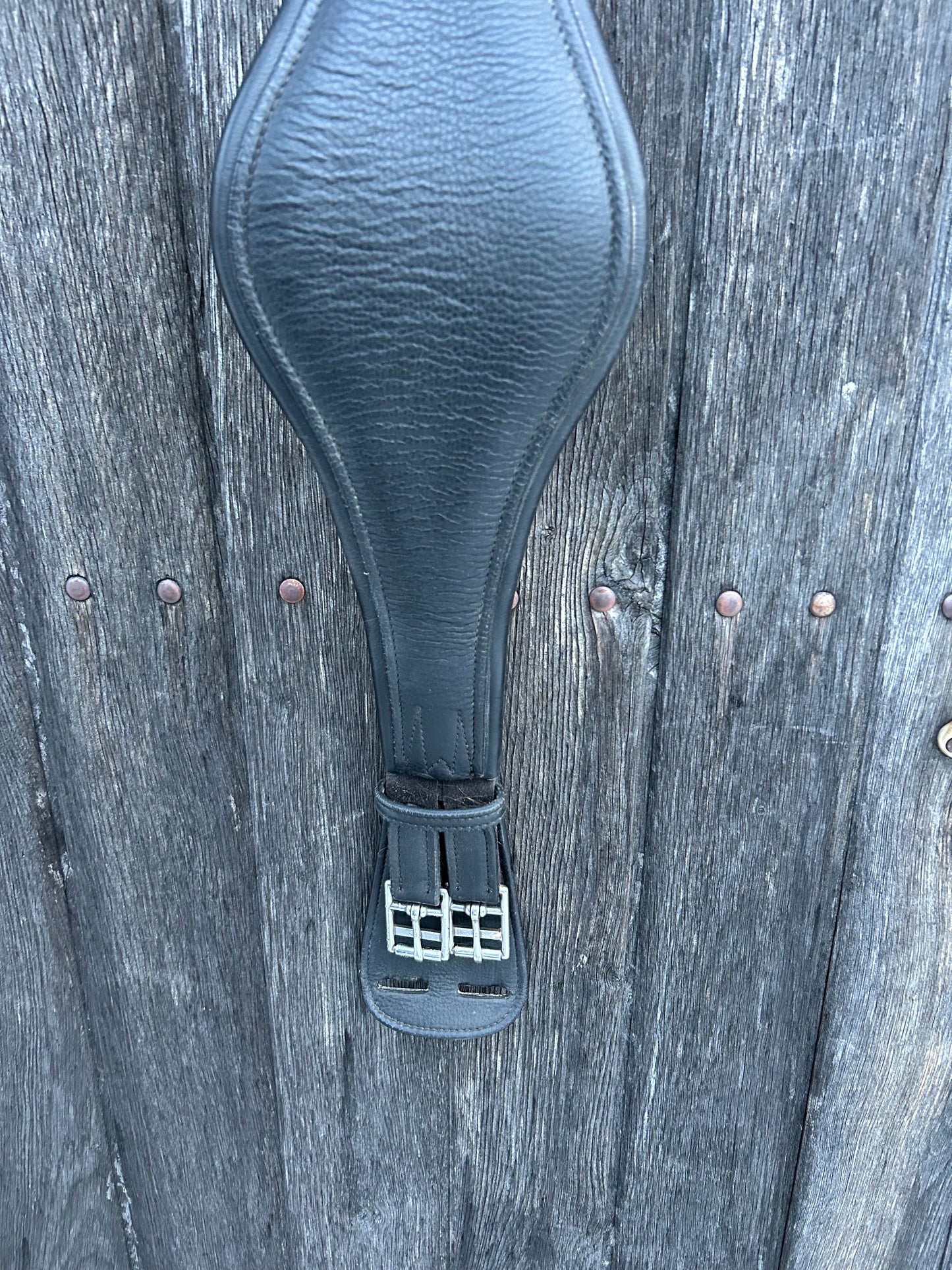 Dressur-Sattelgurt Schleese GEBRAUCHT