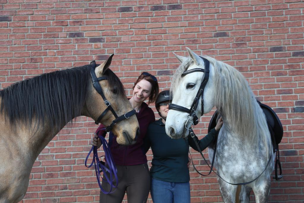 Kappzaum Quittpad "NeXaver Longierzaum Smart"