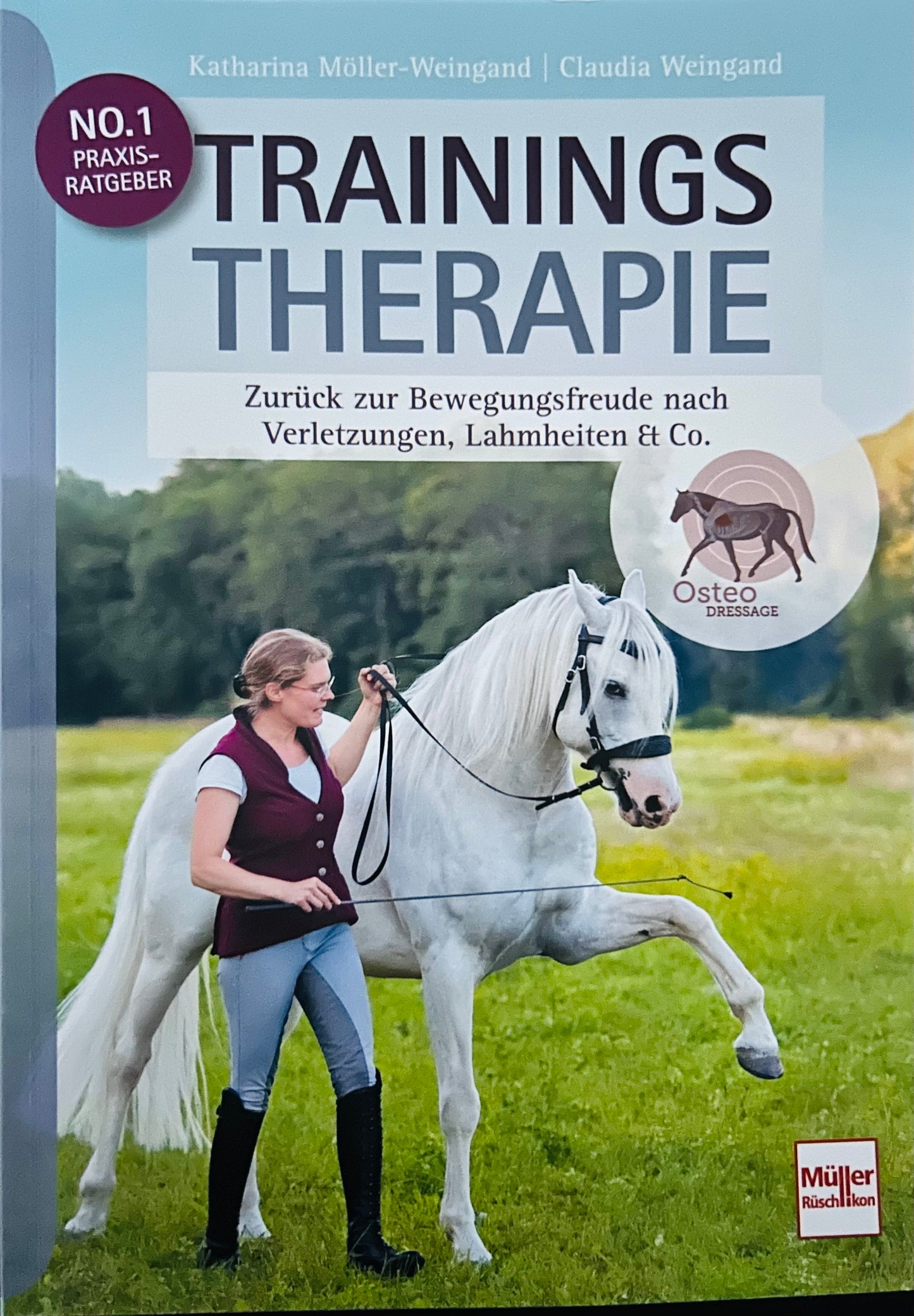 Buch: Trainingstherapie