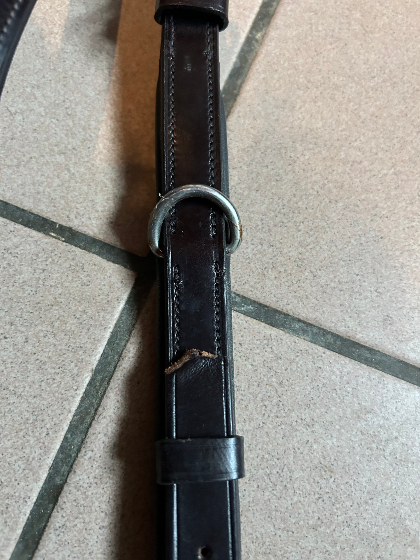 Vorderzeug mit Martingal GEBRAUCHT