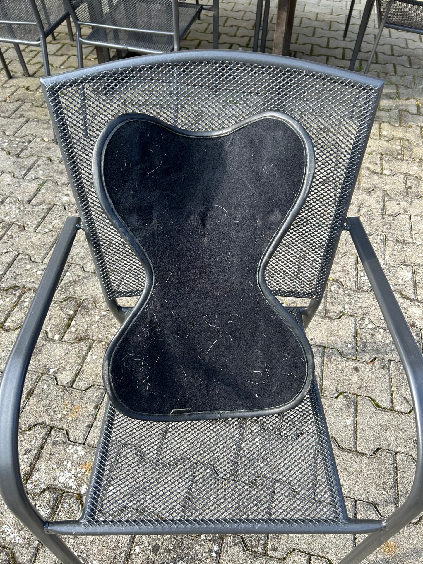 Freeform Sattel Sitz GEBRAUCHT