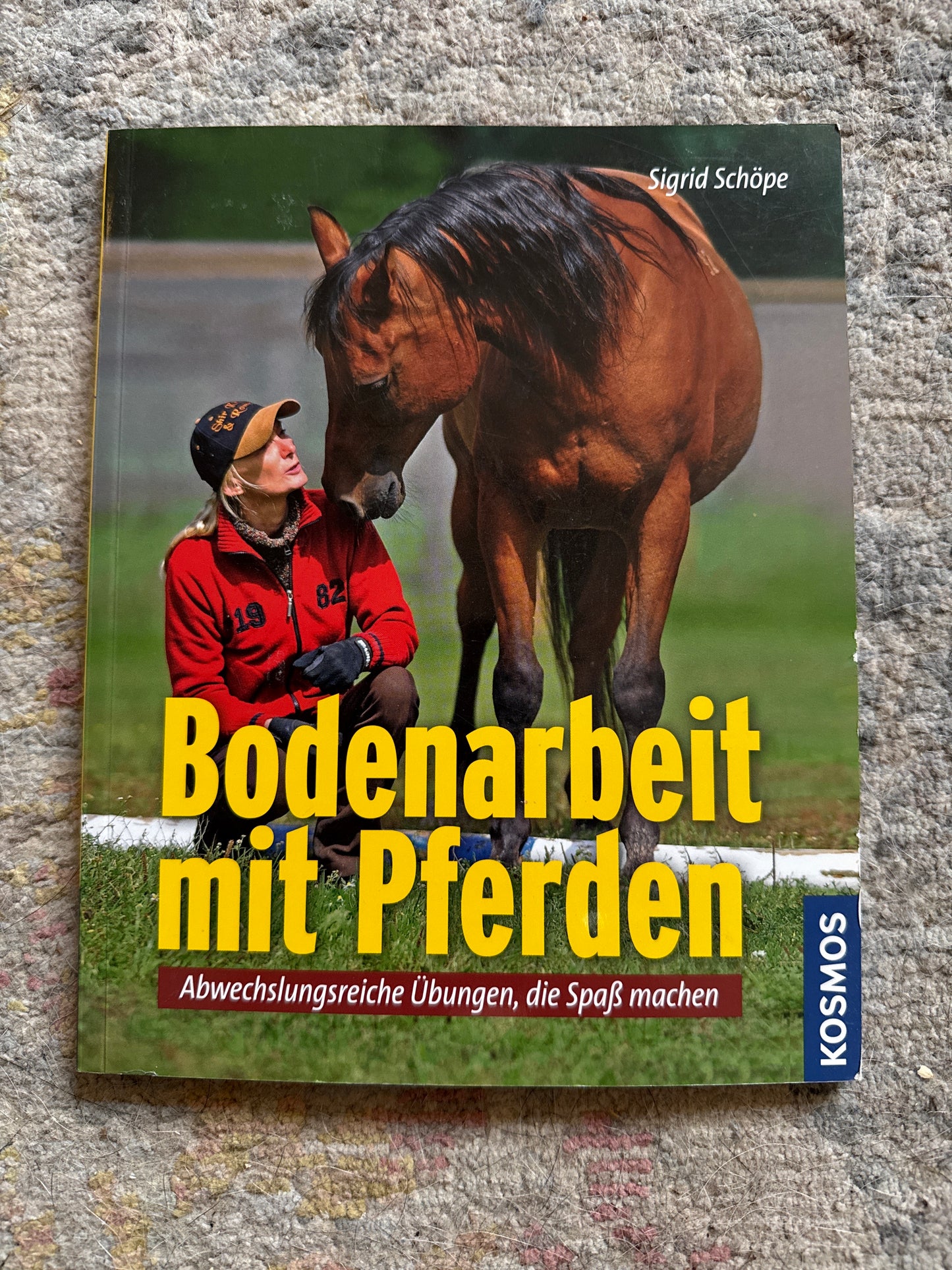 Bücher GEBRAUCHT