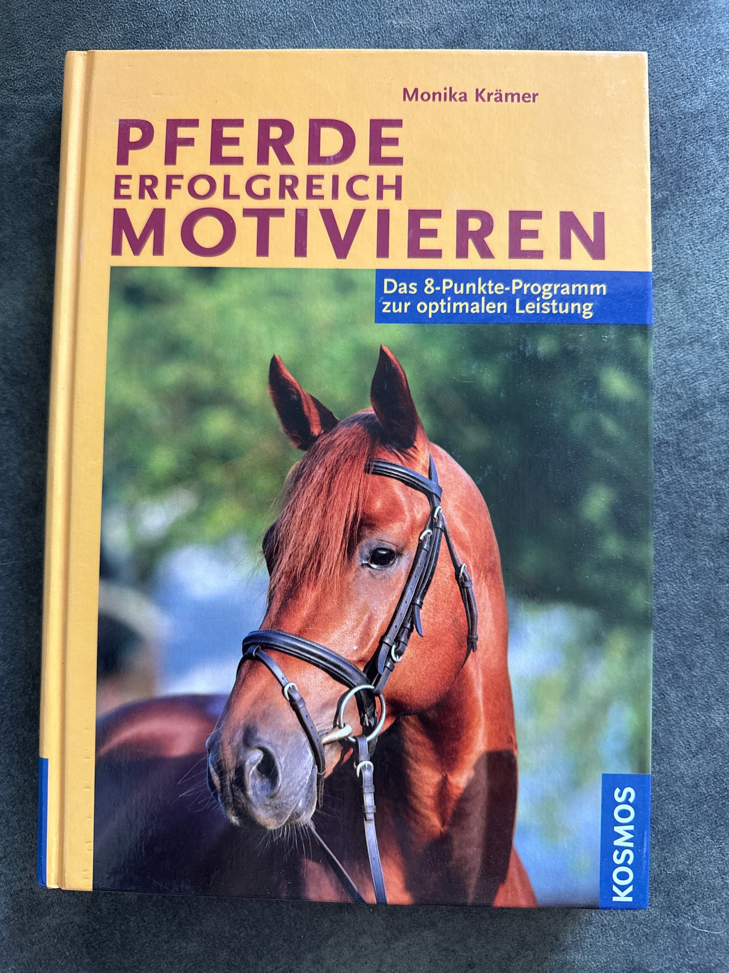 Bücher GEBRAUCHT