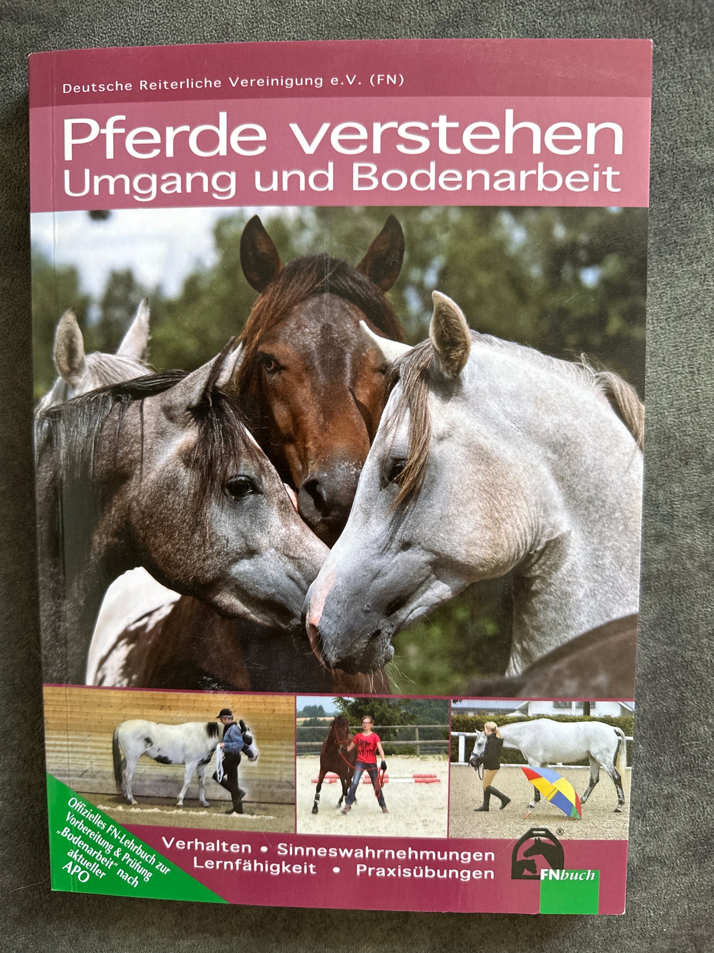 Bücher GEBRAUCHT