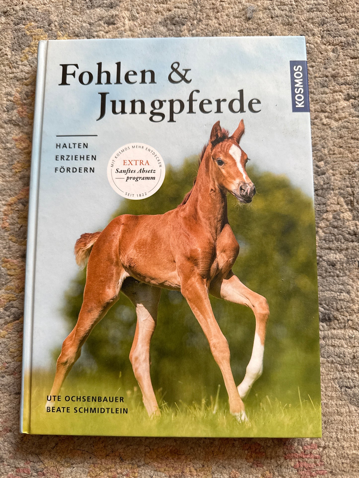 Bücher GEBRAUCHT