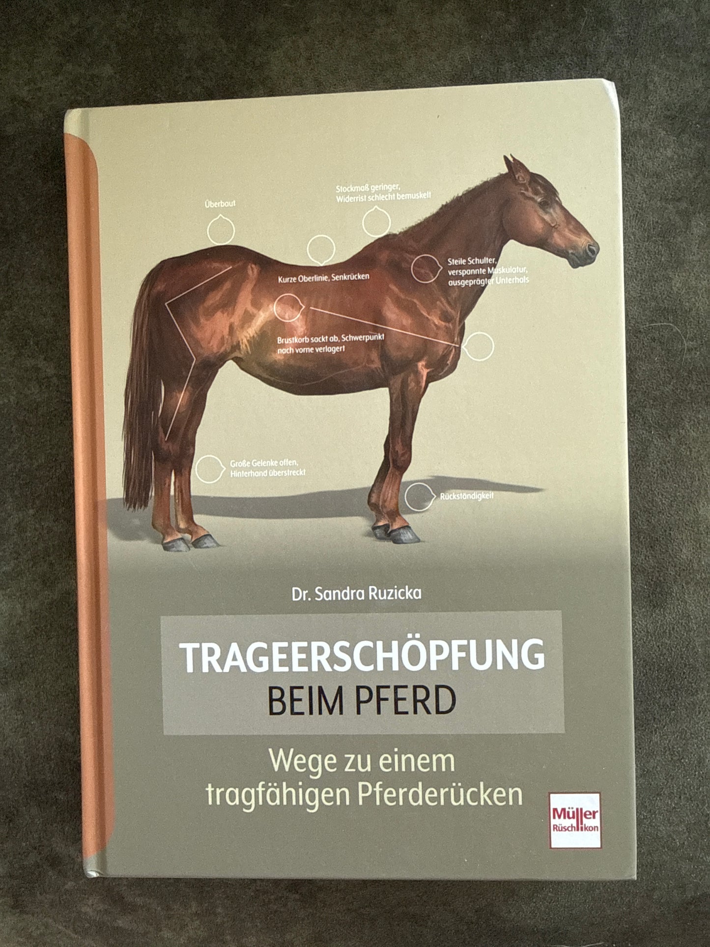 Bücher GEBRAUCHT