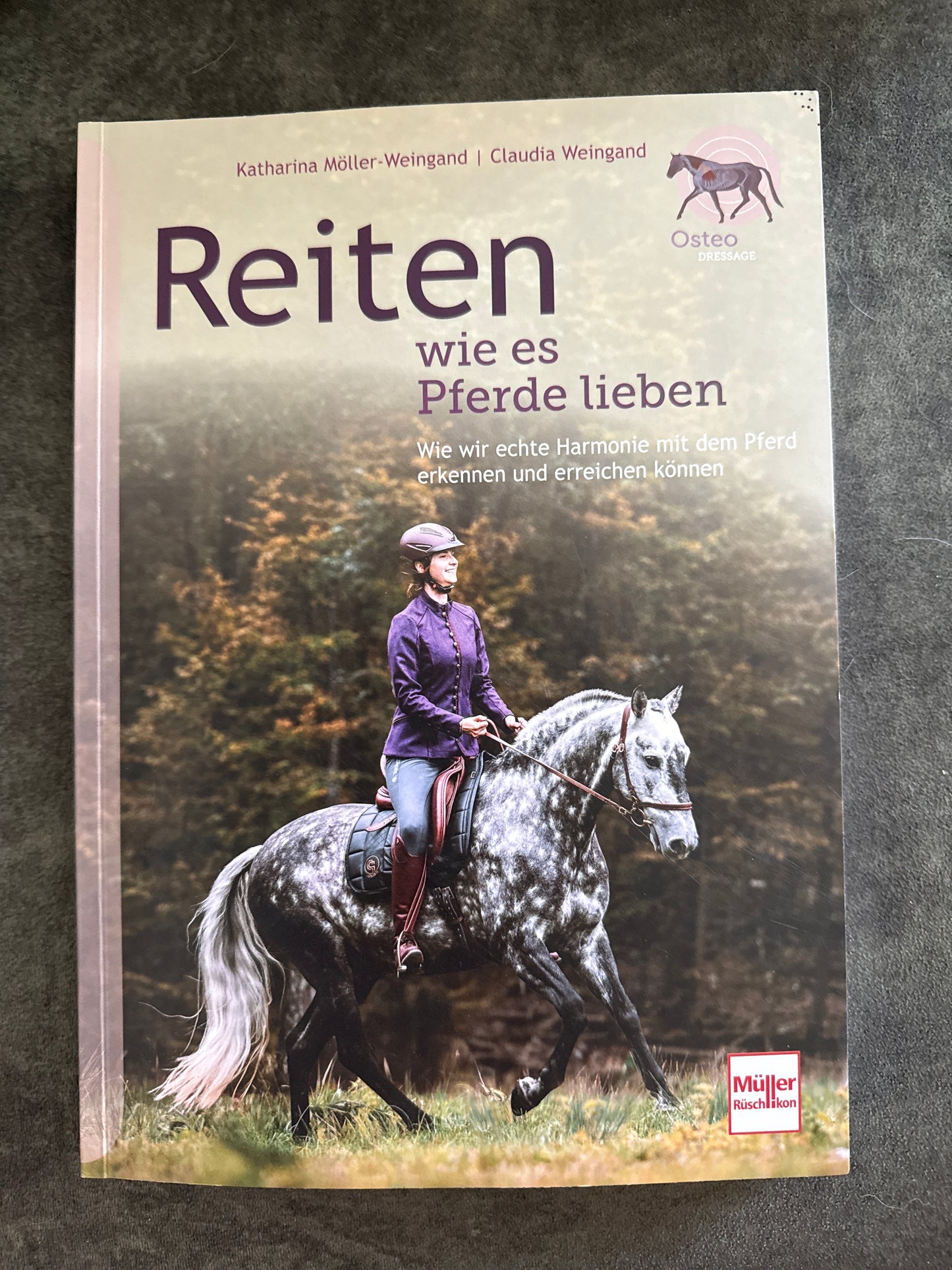 Bücher GEBRAUCHT