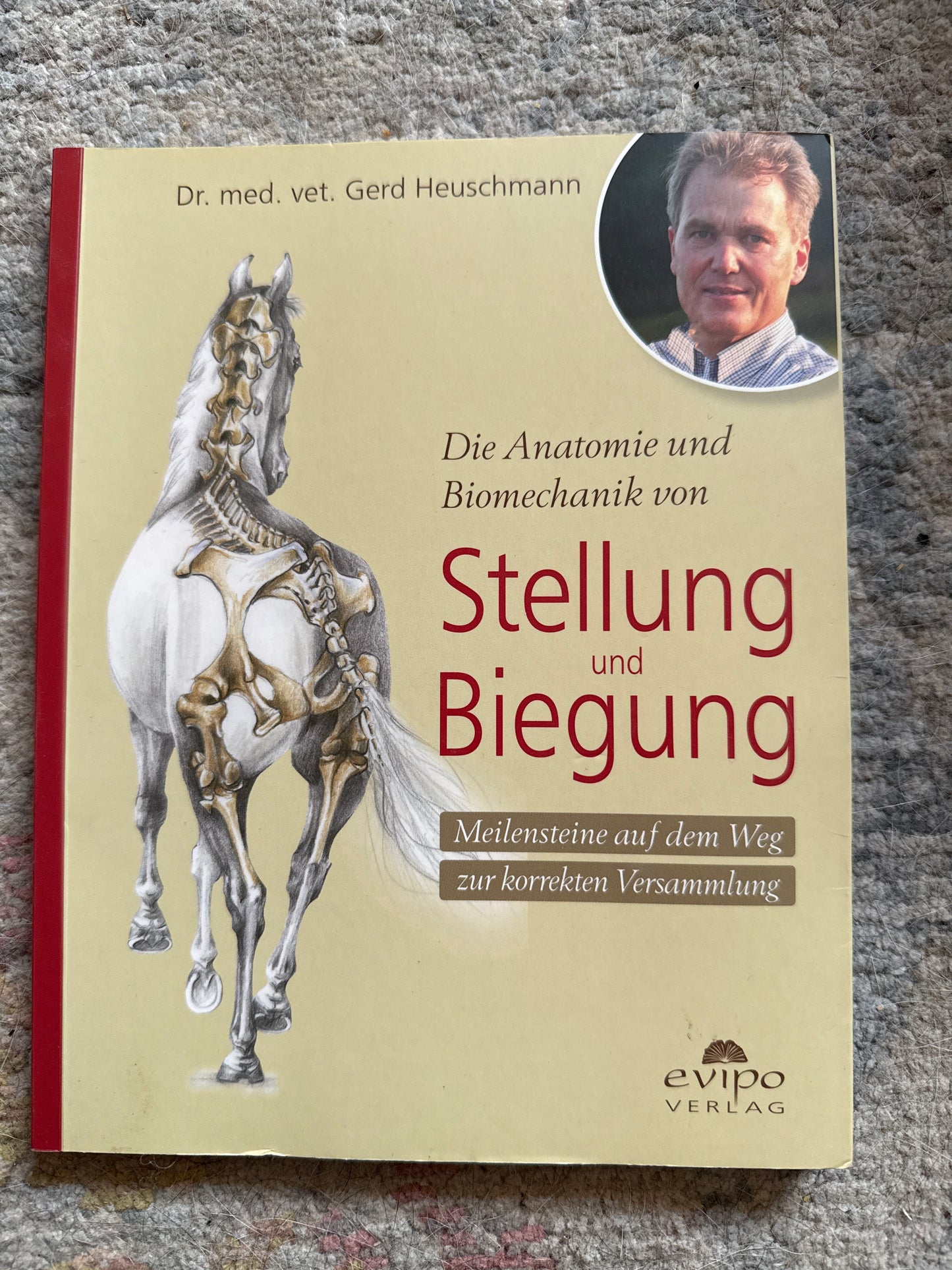 Bücher GEBRAUCHT