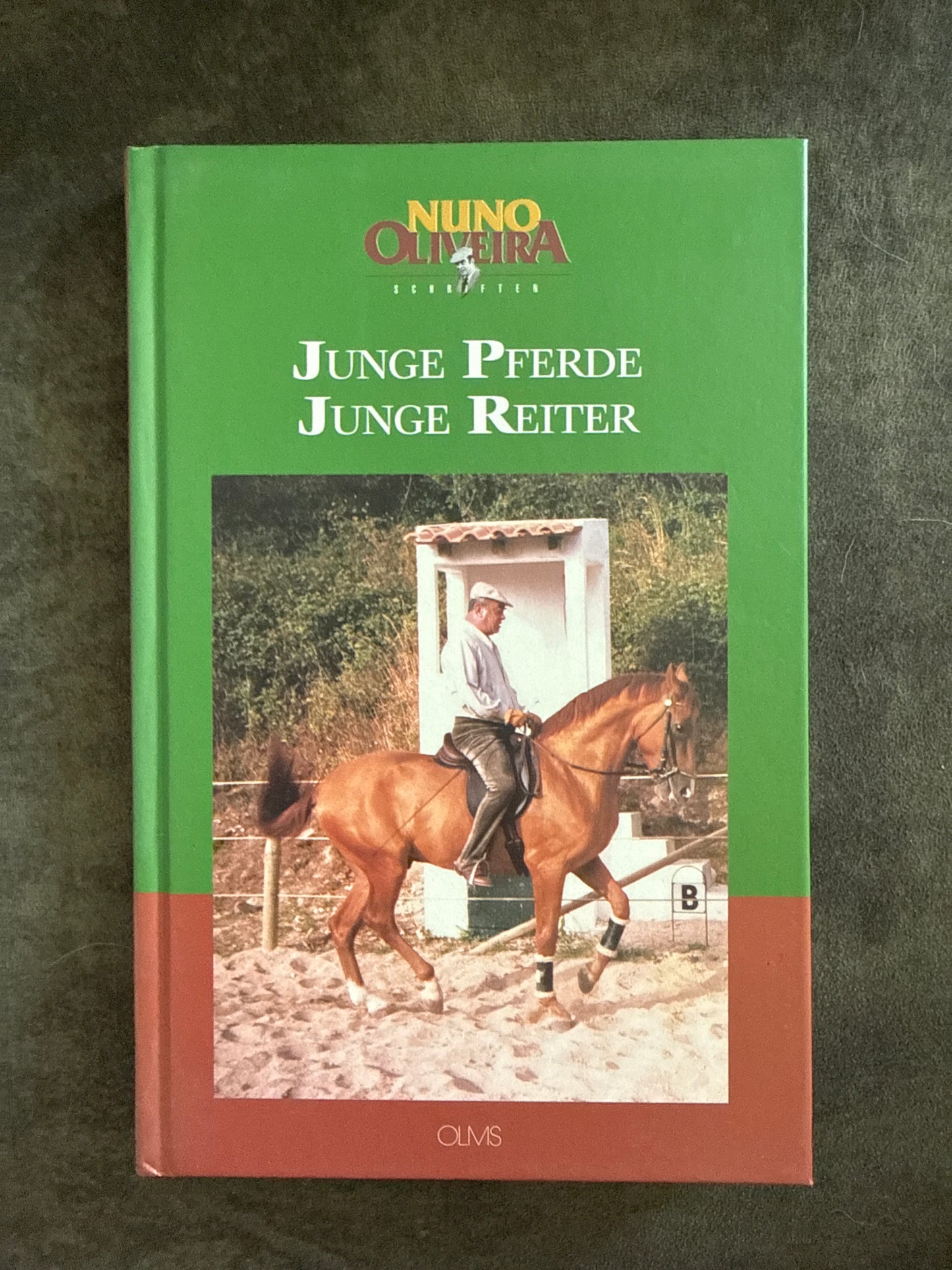 Bücher GEBRAUCHT