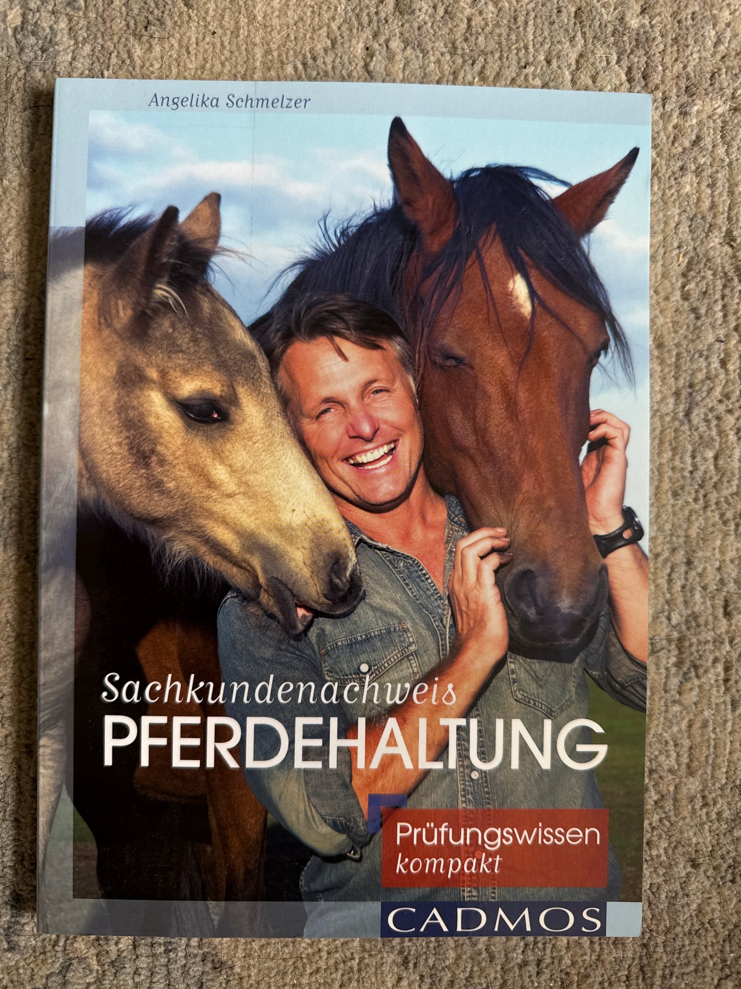 Bücher GEBRAUCHT
