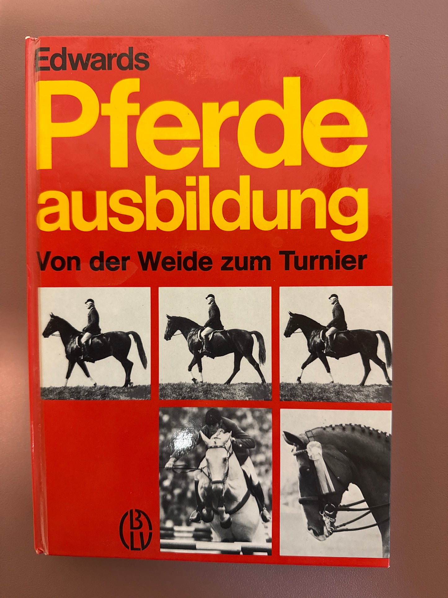 Bücher GEBRAUCHT
