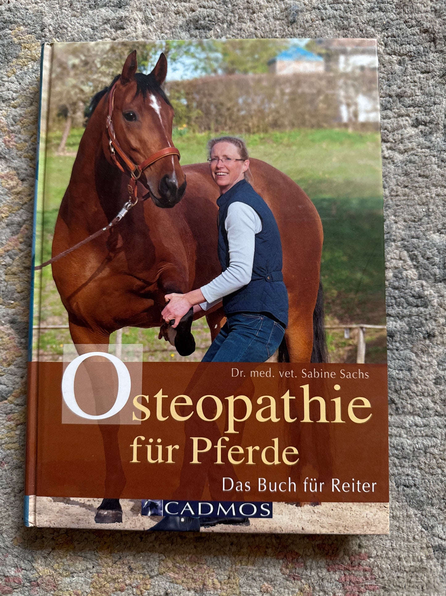 Bücher GEBRAUCHT
