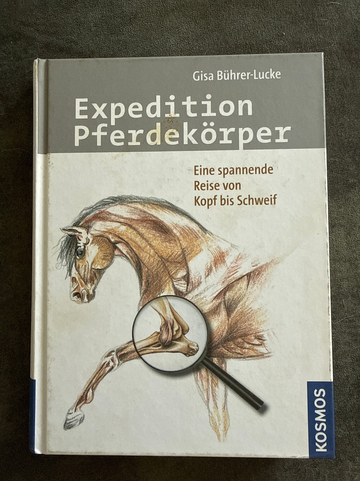 Bücher GEBRAUCHT