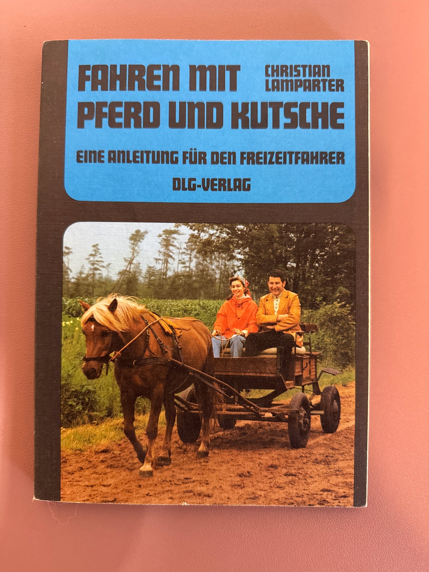 Bücher GEBRAUCHT