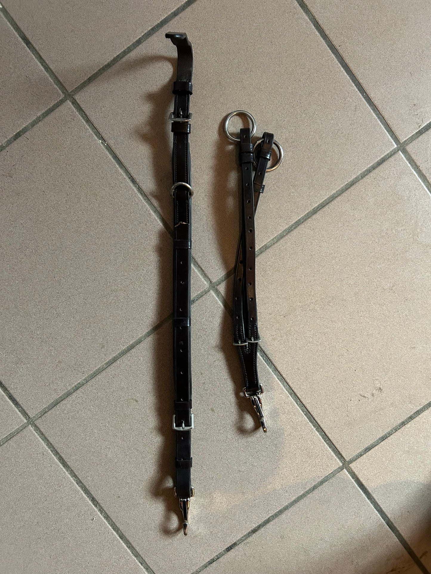 Vorderzeug mit Martingal GEBRAUCHT