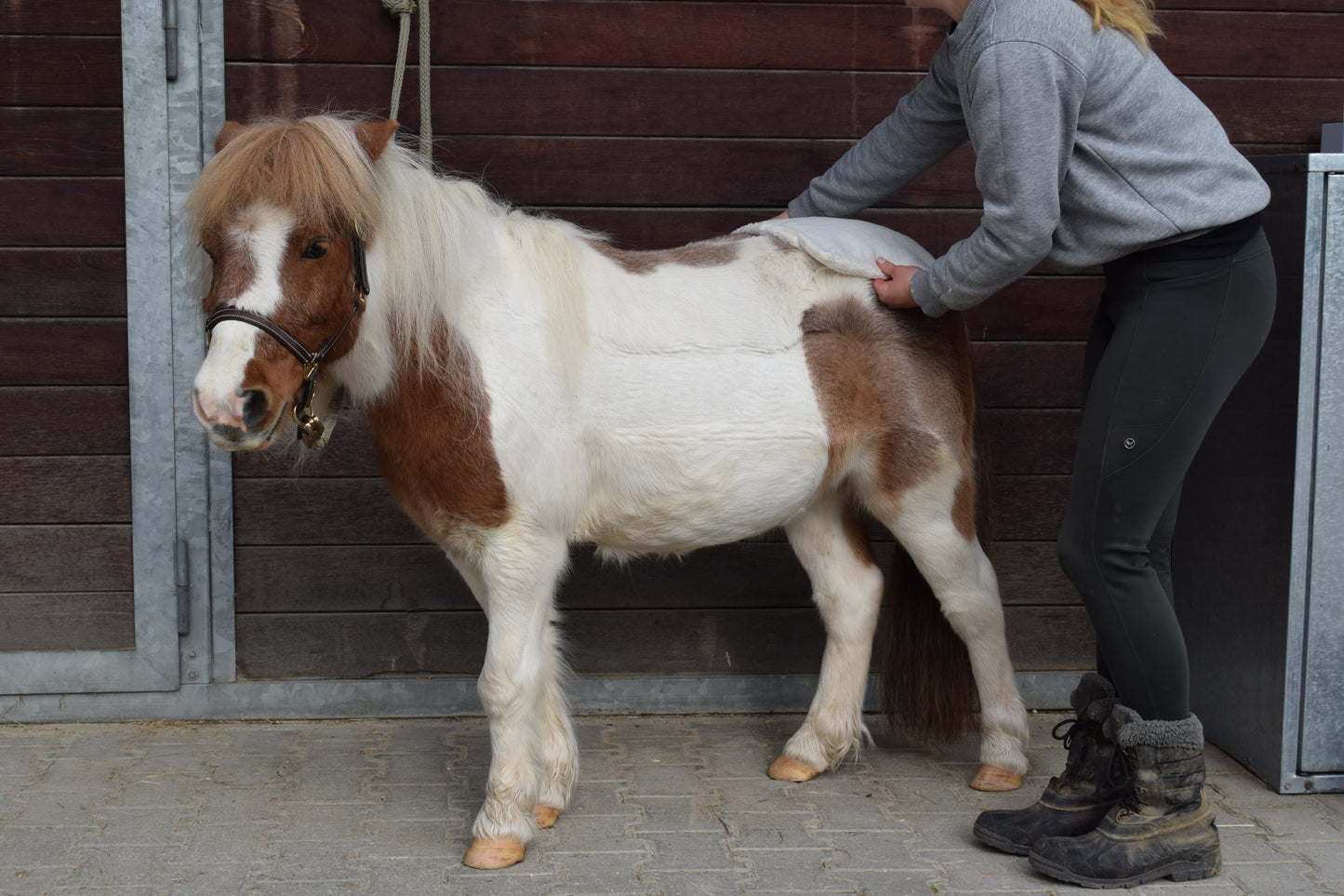 Moorkissen aus Bad Aibling