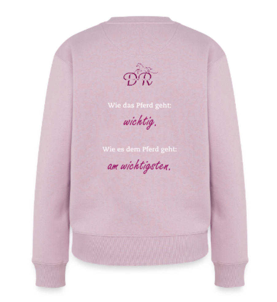 Delightful Riding Pulli "Wie das Pferd geht" altrosa