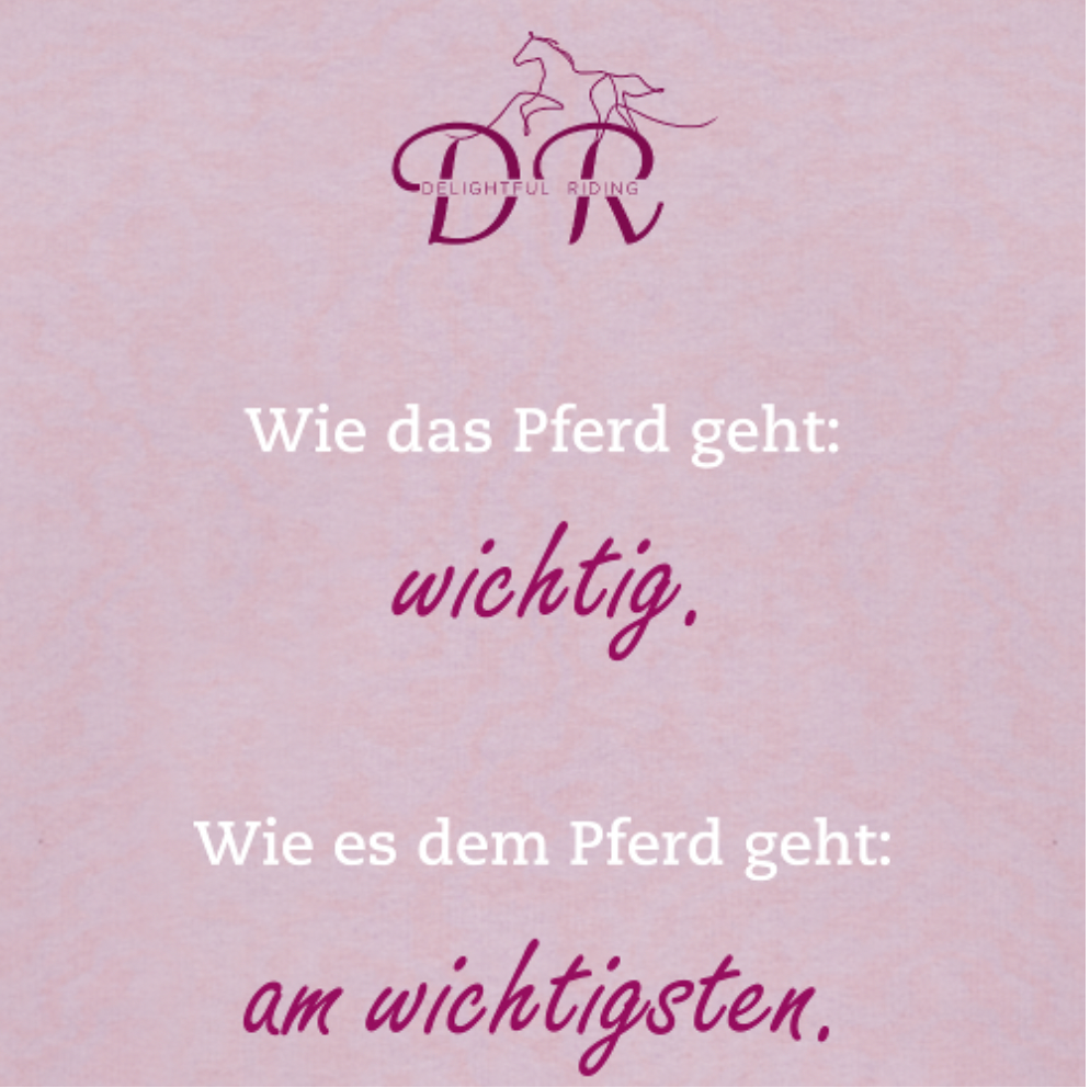 Delightful Riding Pulli "Wie das Pferd geht" altrosa
