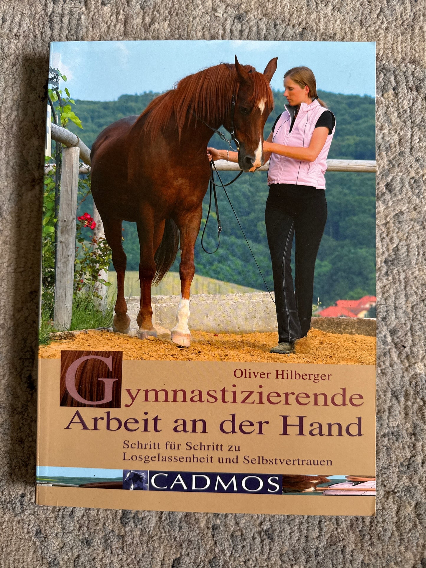 Bücher GEBRAUCHT