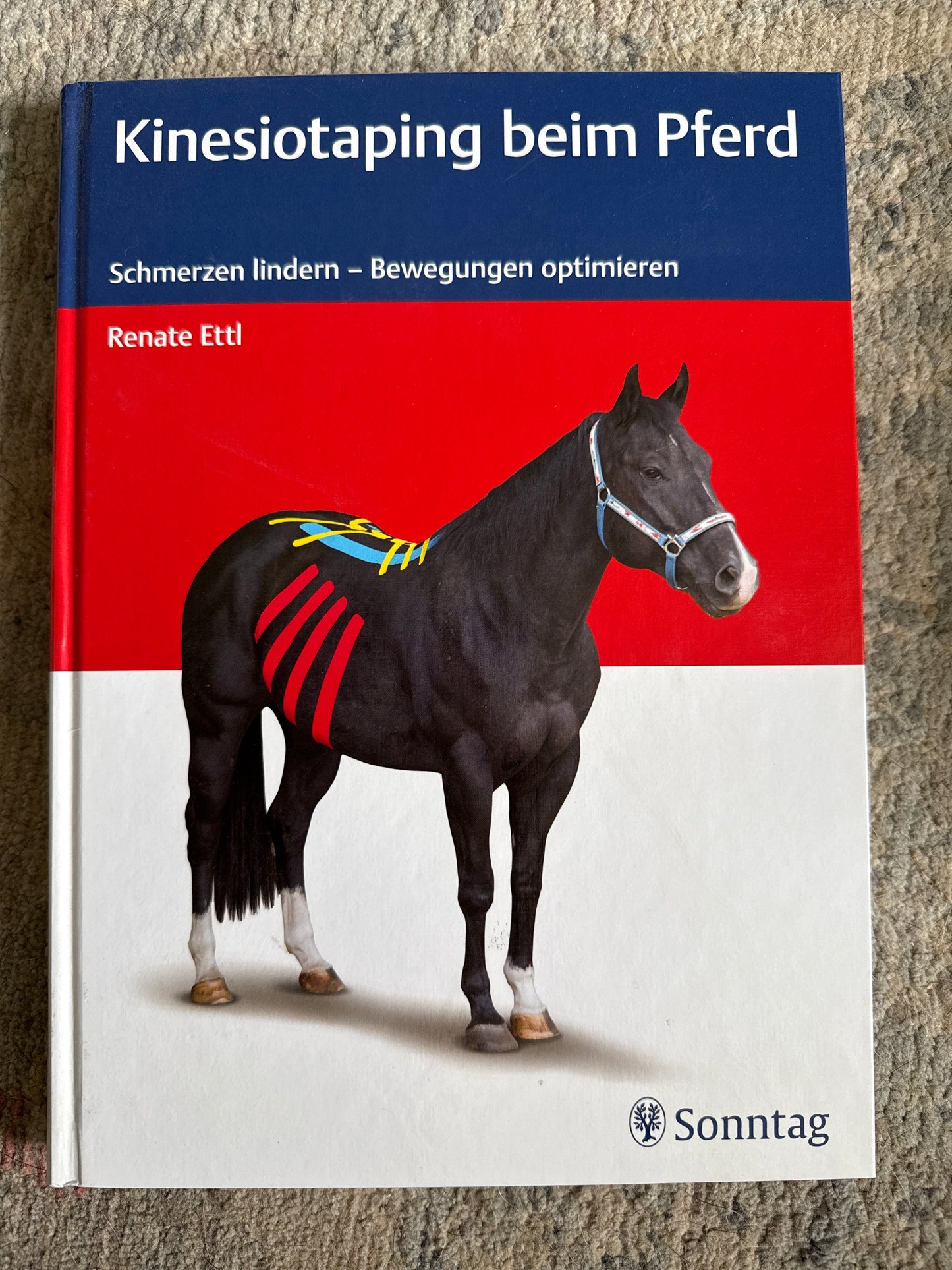 Bücher GEBRAUCHT