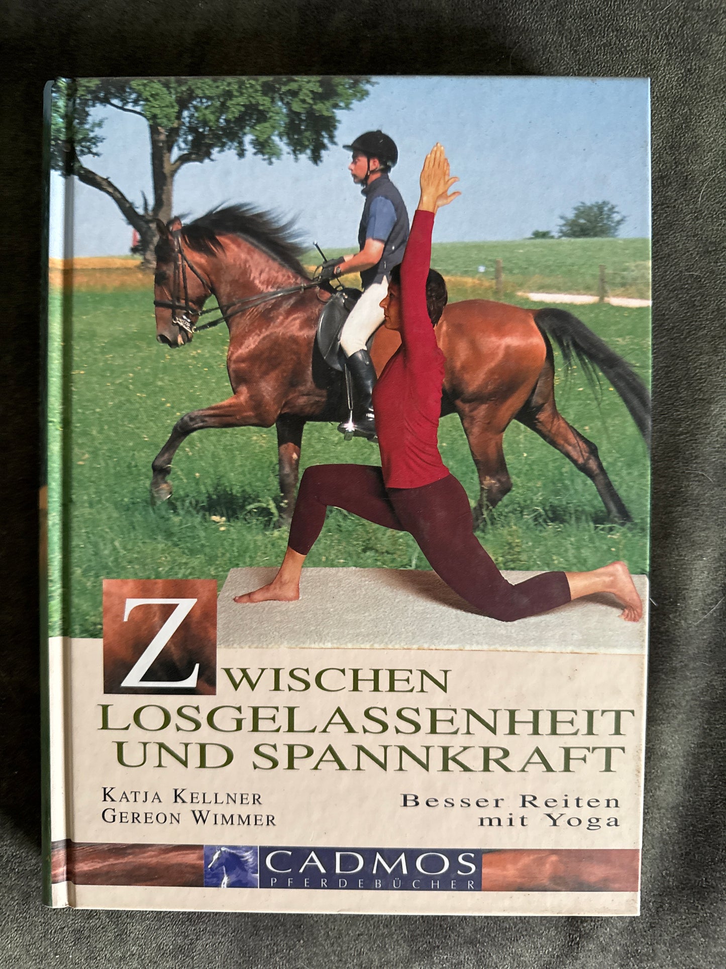 Bücher GEBRAUCHT