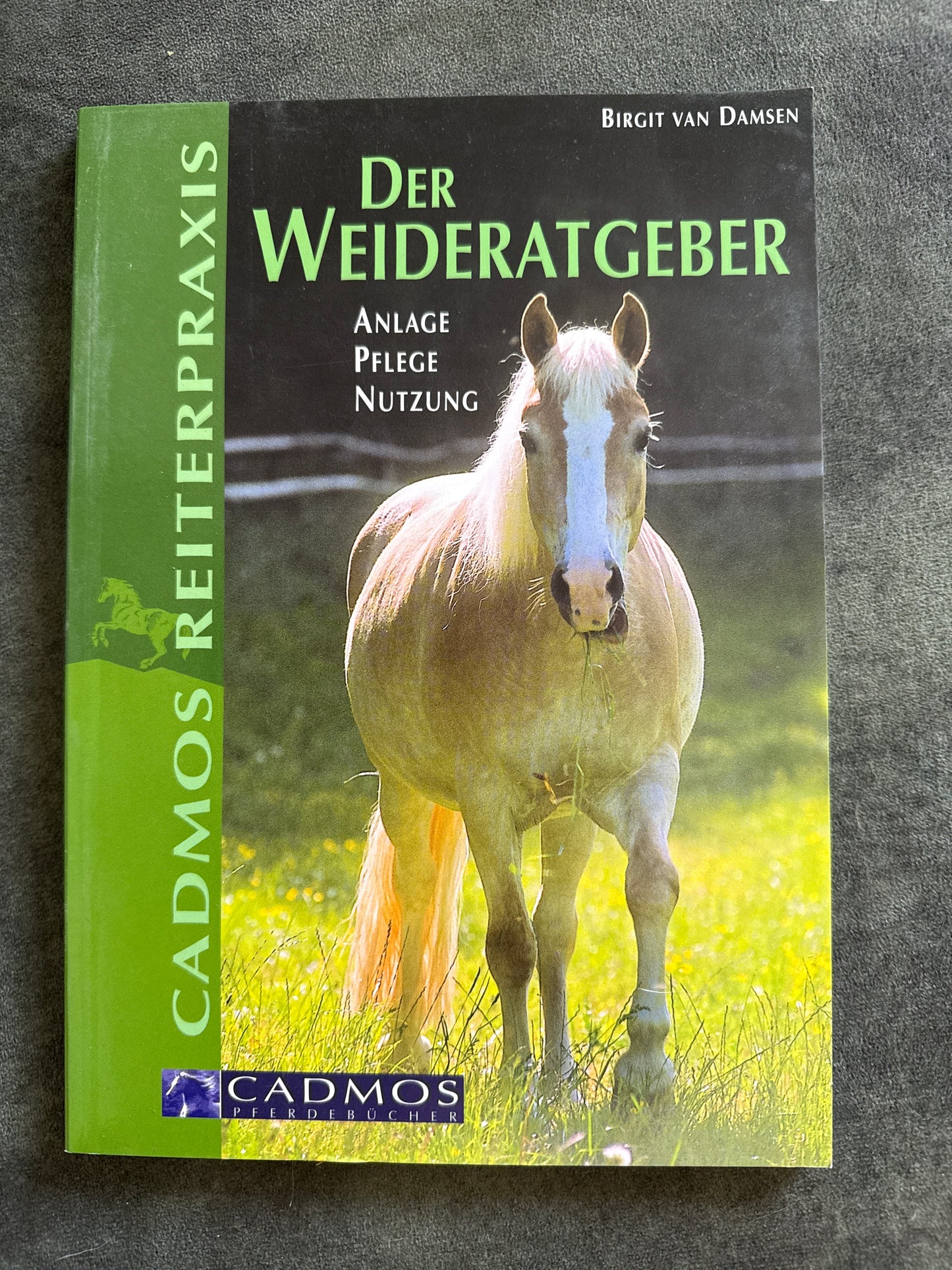 Bücher GEBRAUCHT