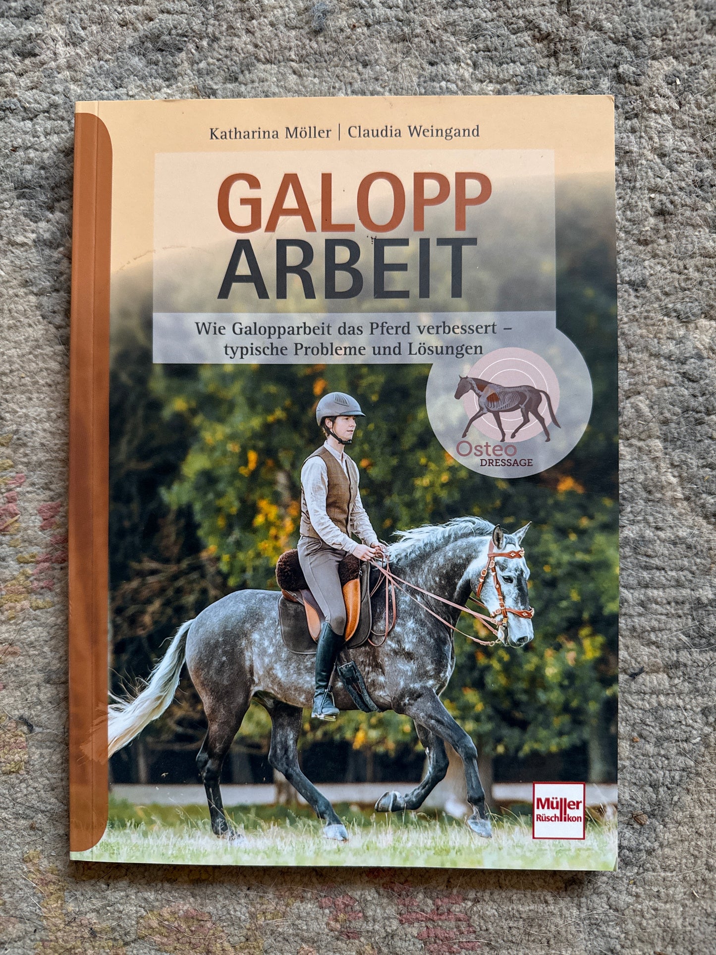 Bücher GEBRAUCHT