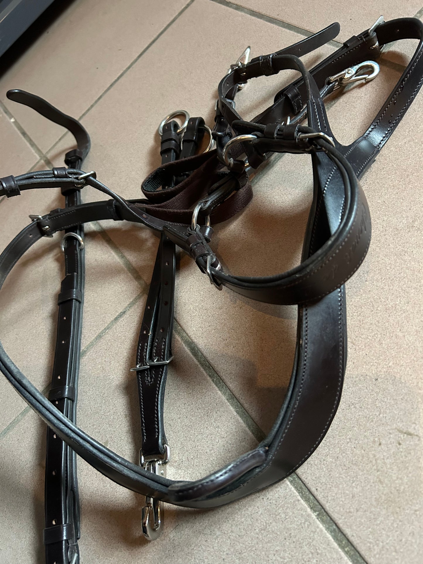 Vorderzeug mit Martingal GEBRAUCHT