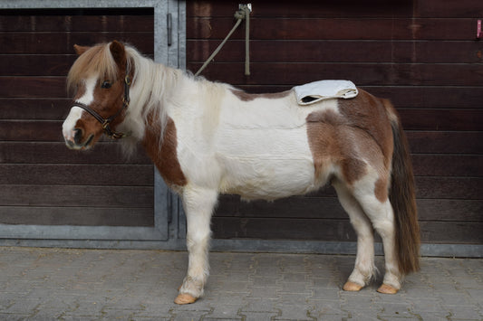 Moorkissen aus Bad Aibling