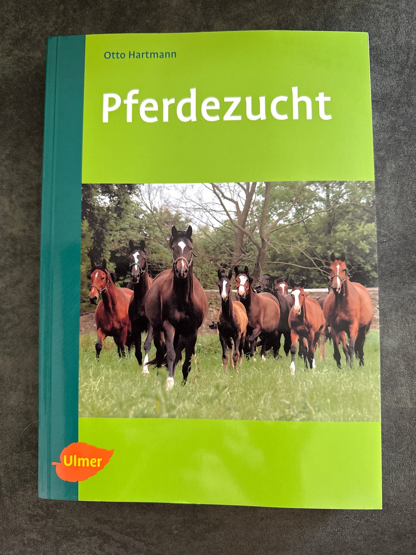 Bücher GEBRAUCHT
