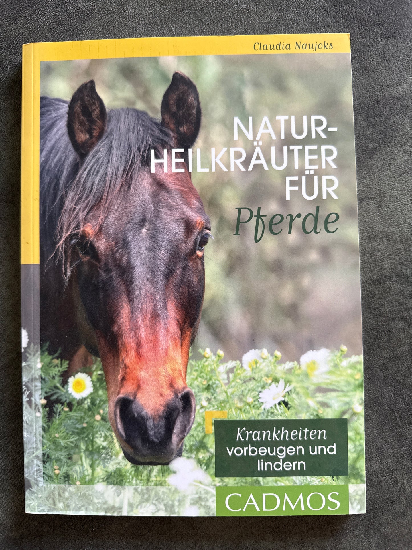 Bücher GEBRAUCHT