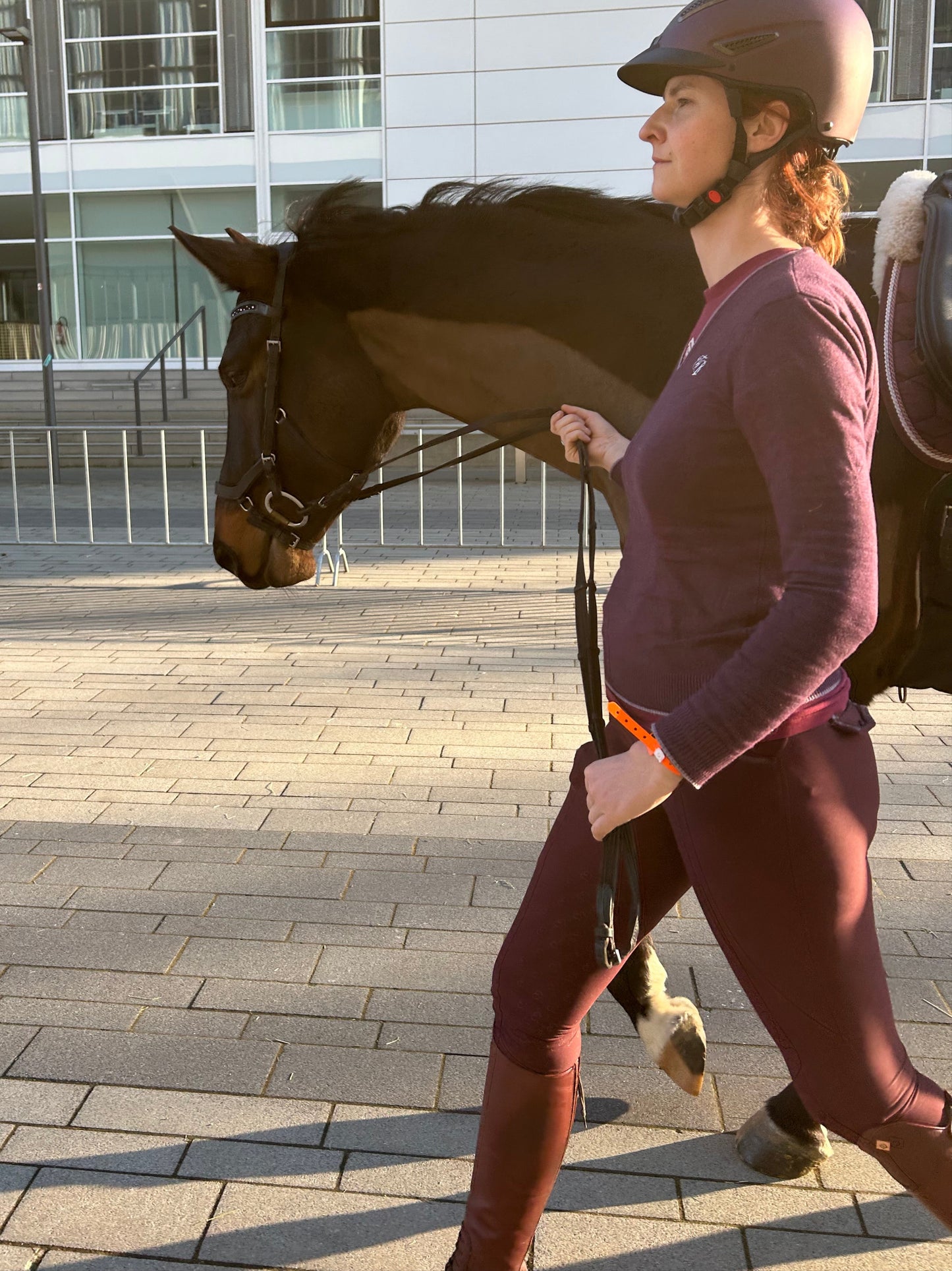 Reithosen Einzelstücke