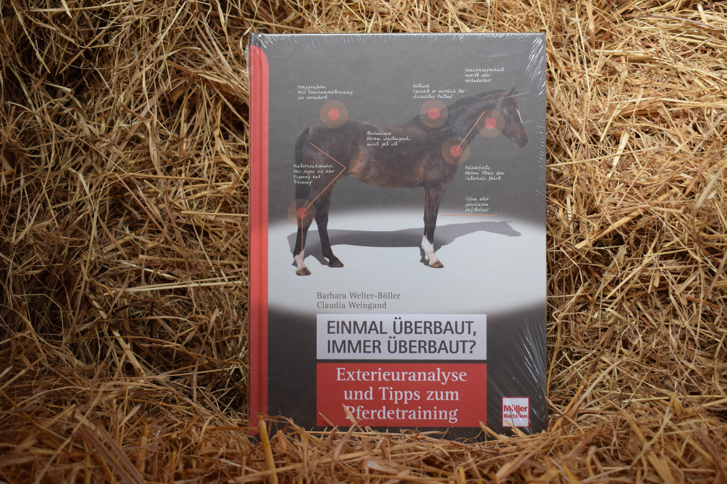 Buch: Einmal überbaut, immer überbaut